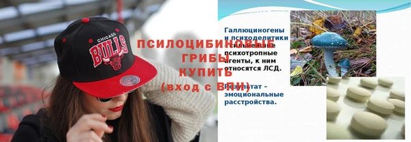 прущая мука Алексин