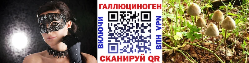 Галлюциногенные грибы прущие грибы  Грязовец 